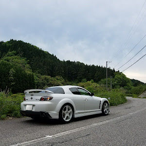 RX-8 SE3P