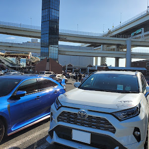 RAV4 AXAH54