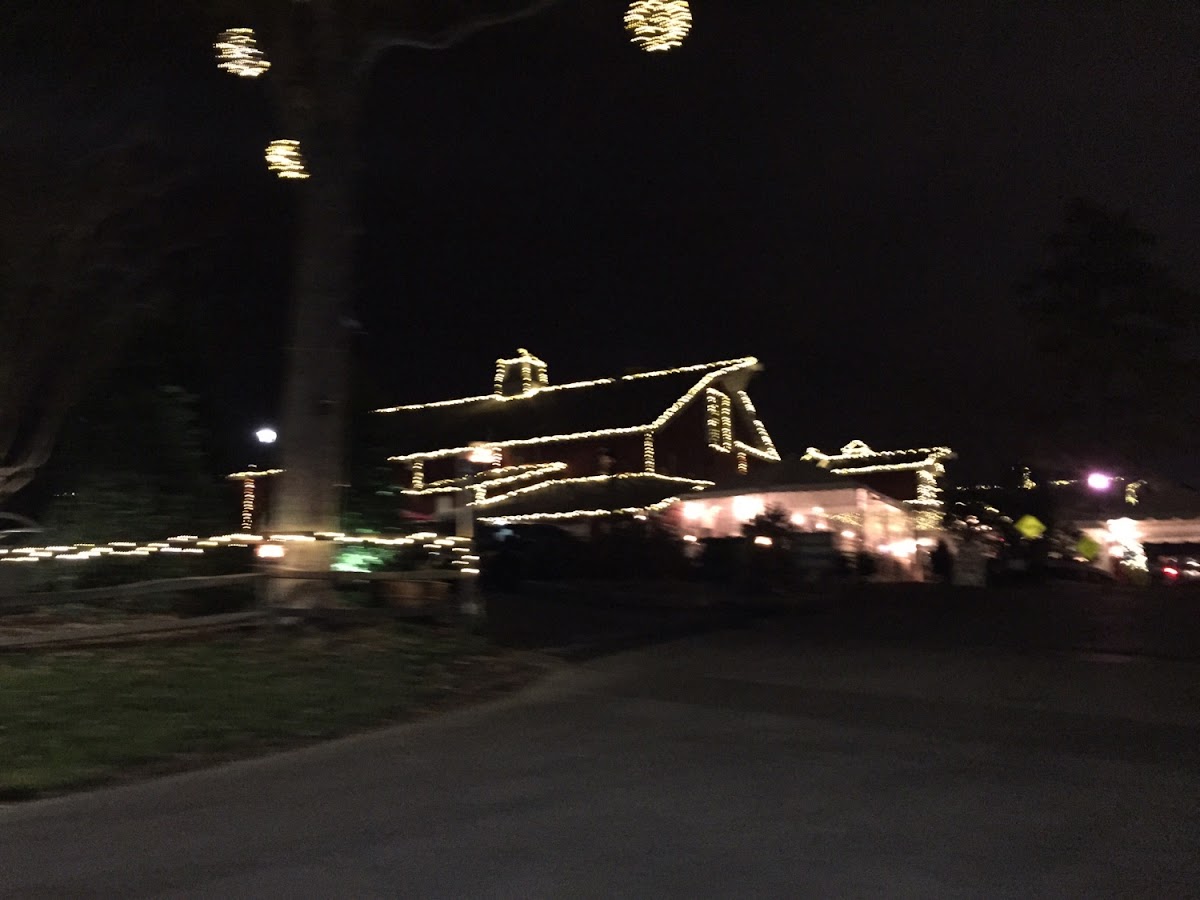 A bit blurry, but this is Angus Barn decked out for the holidays. The inside was even better!