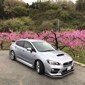 WRX S4 VAG