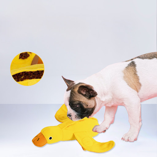 Title 1, Teddy Toy With Dog Sound & Duck Doll for Traini...