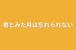 君とみた月は忘れられない