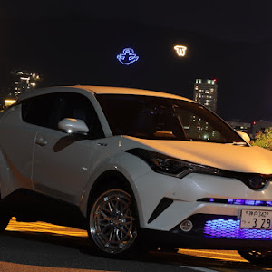 C-HR ZYX10