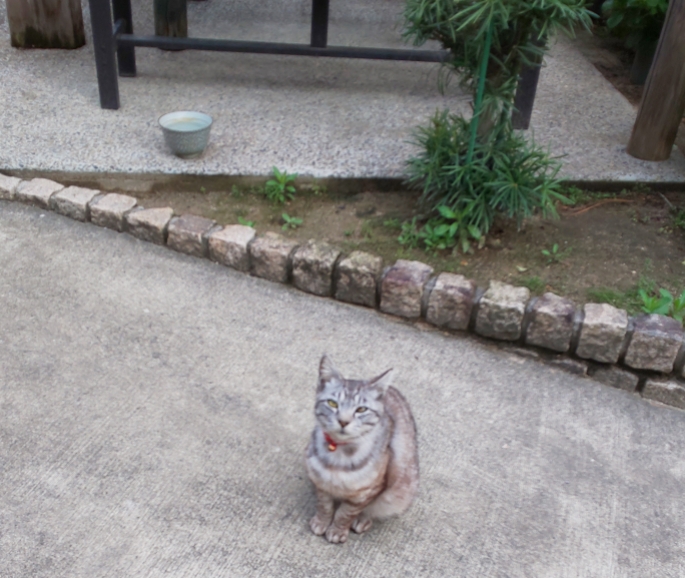 N-ONEのてつやんさんが投稿したカスタム事例の投稿画像4枚目
