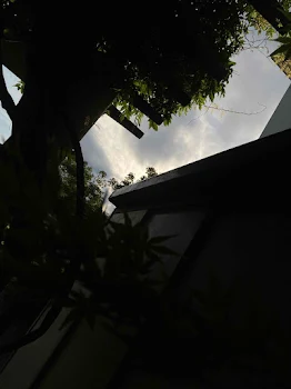 梵天に新しいメンバー？