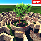 3D Maze (The Labyrinth) 0.4