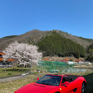 F355 スパイダー