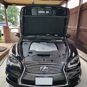LS USF40