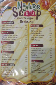 Natures Scoops menu 2