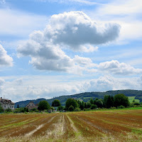 Campagna in estate di 