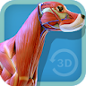 Visual Canine Anatomy 3D - lea icon