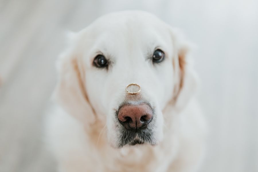 Fotografo di matrimoni Calin Vurdea (calinvurdea). Foto del 16 febbraio 2022