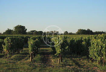 terrain à Bourg sur gironde (33)