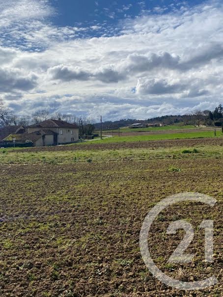 Vente terrain  3028 m² à Sarrecave (31350), 29 000 €
