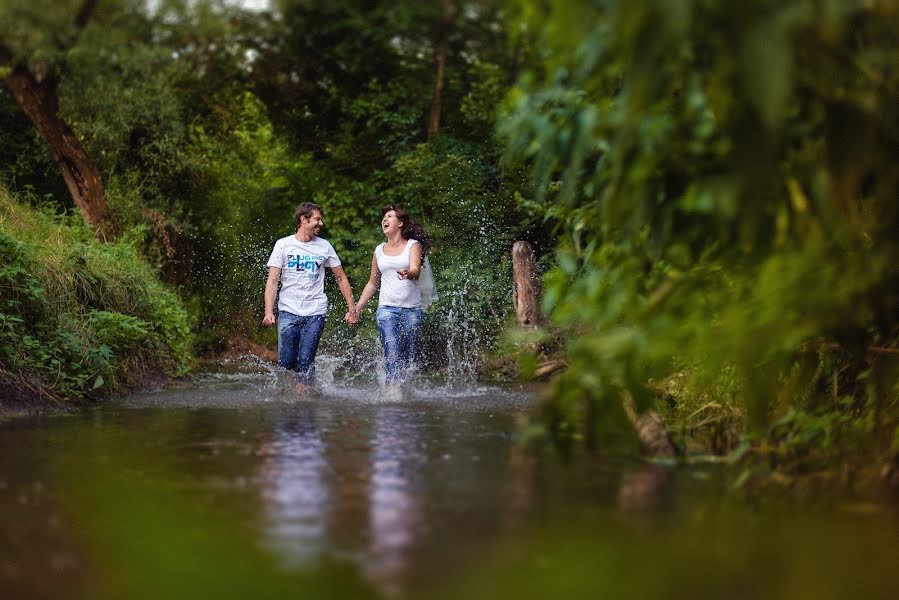 Wedding photographer Aleksandr Zolotarev (alexzolotarev). Photo of 24 August 2014