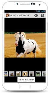 Horses slideshow & Wallpapers Screenshots 3