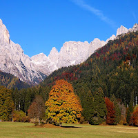 Val Canali, autunno di 