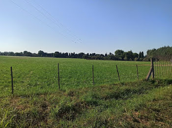 maison neuve à Saint-Martin-de-Crau (13)