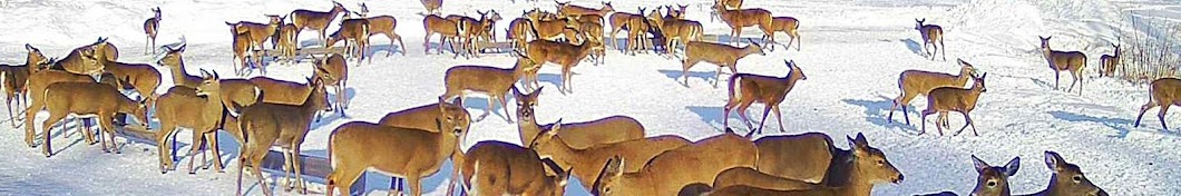 Brownville's Food Pantry For Deer Banner