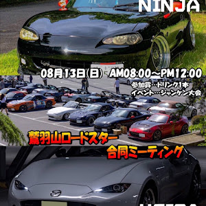 ロードスター NB6C