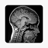 Understanding Medical Scans1.0.2