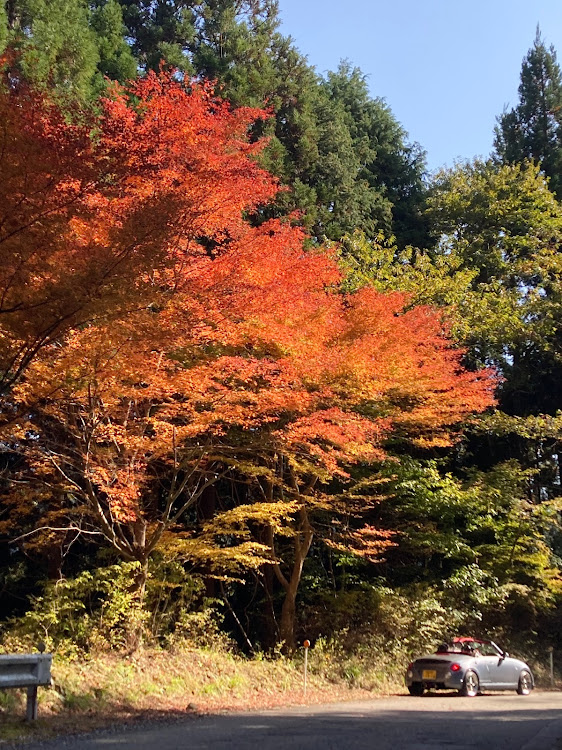 の投稿画像10枚目