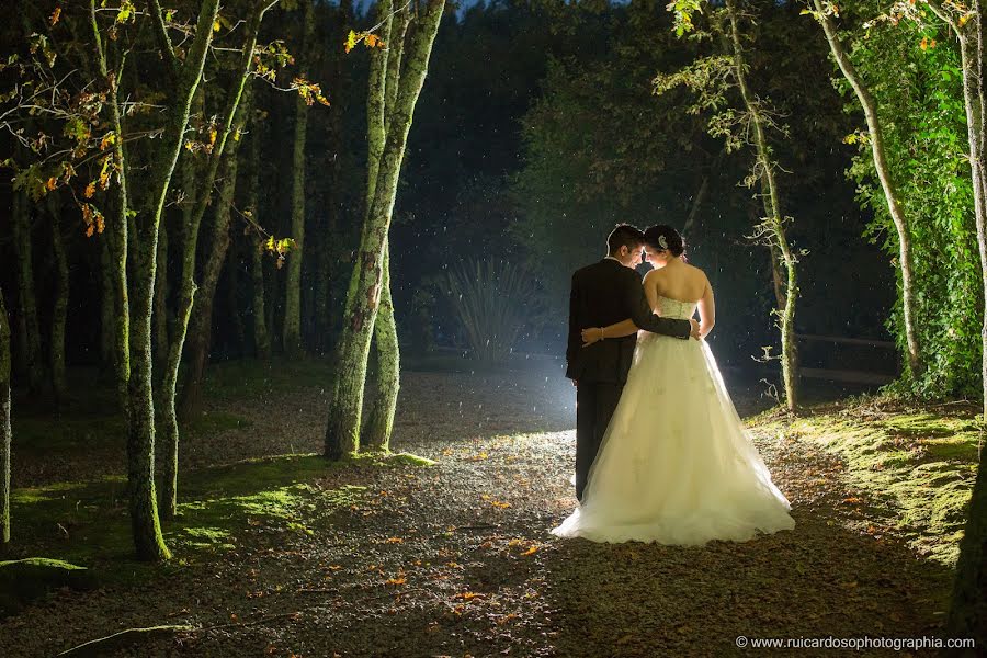 Wedding photographer Rui Cardoso (ruicardoso). Photo of 27 January 2015