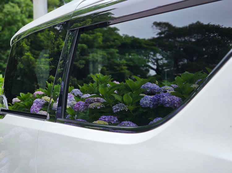 ヴェルファイアの紫陽花・紫陽花とコラボ・紫陽花と愛車・あじさいロード・道の駅に関するカスタム事例の投稿画像7枚目