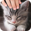 Pat the Cat Simulator icon