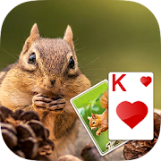 Solitaire Cute Squirrel Theme 2.419 Icon