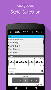 Piano Chords, Scales, Progression Companion PRO [PAID] [Free purchase] 5