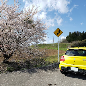 スイフトスポーツ ZC33S