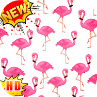 Cute Flamingo Wallpapers – Cute Wallpapers