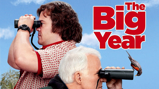 Image result for the big year  movie