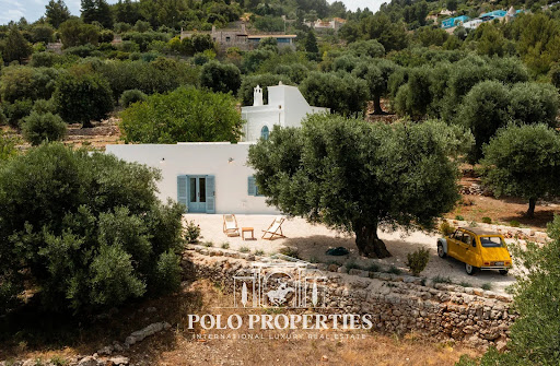 Property with pool 2