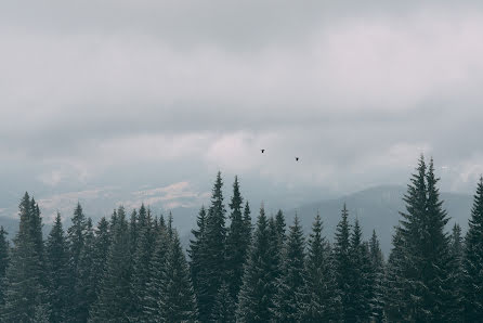 Hochzeitsfotograf Nazariy Karkhut (karkhut). Foto vom 30. März 2016