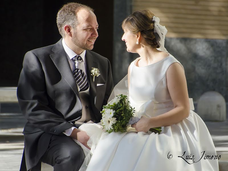 Fotografo di matrimoni Luis Jimeno (luisjimeno). Foto del 3 luglio 2015