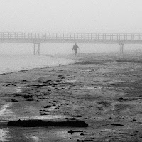 l'uomo nella nebbia di 