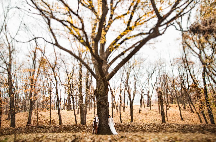 Wedding photographer Tatyana Tarasovskaya (tarasovskaya). Photo of 17 March 2015