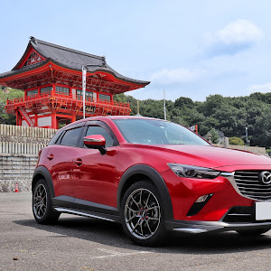 CX-3 DK5FW