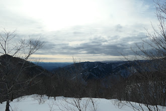 疎林の展望地