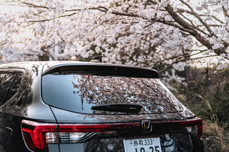 WR-Vのサクラと愛車・桜と愛車・リフレクションに関するカスタム事例の投稿画像3枚目