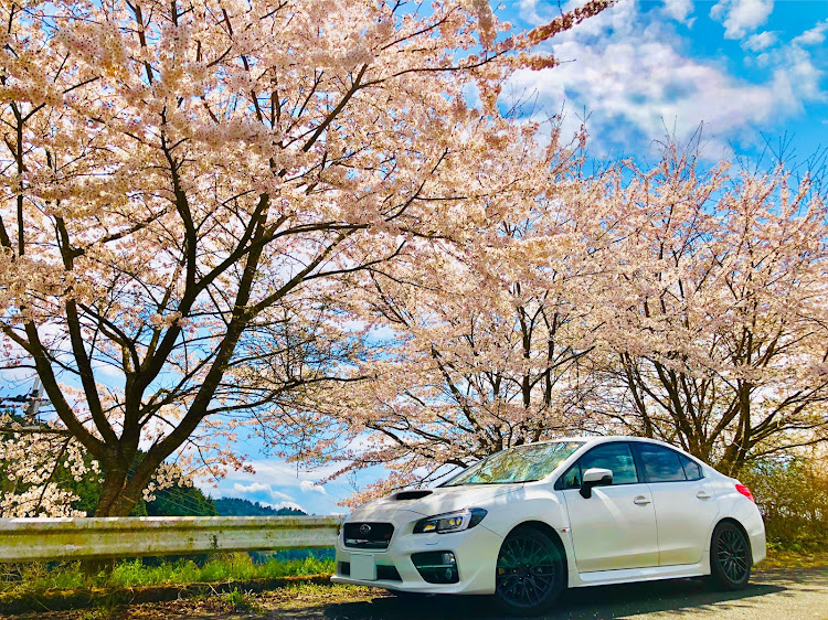 WRX STIのiPhone・さくら🌸に関するカスタム事例の投稿画像3枚目