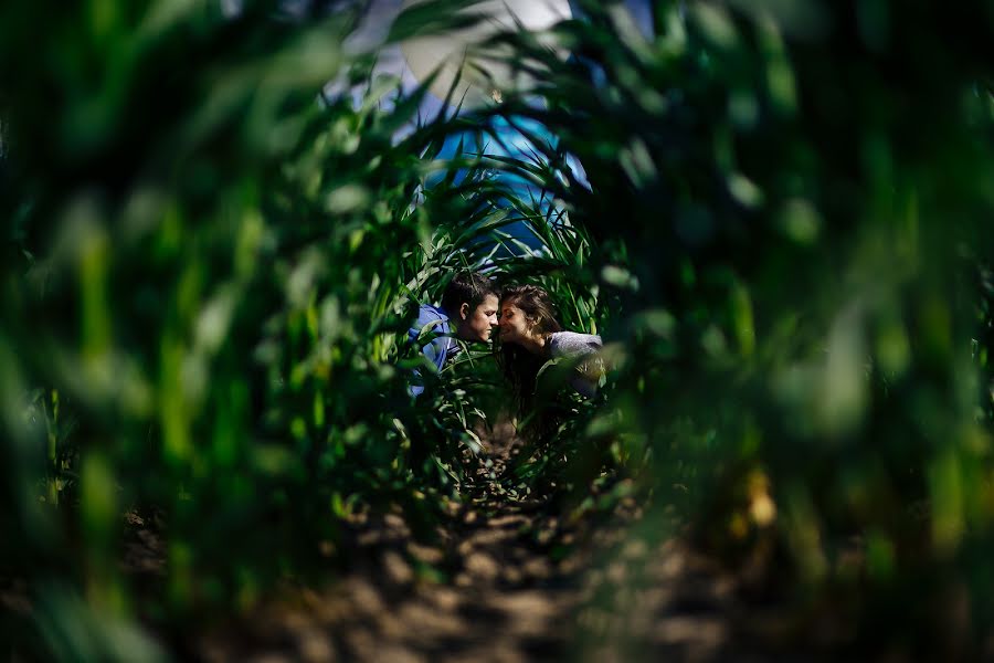 Fotografo di matrimoni Aleksey Malyshev (malexei). Foto del 5 dicembre 2014