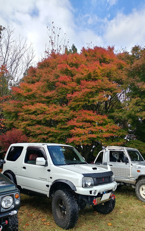 の投稿画像4枚目