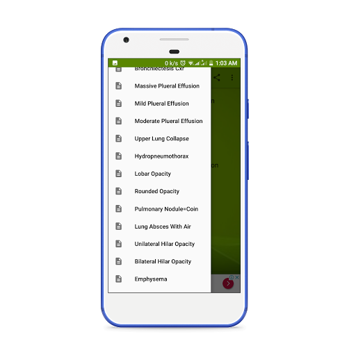 X-Ray Interpretation Guide