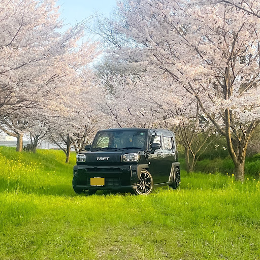 いとしんのプロフィール画像