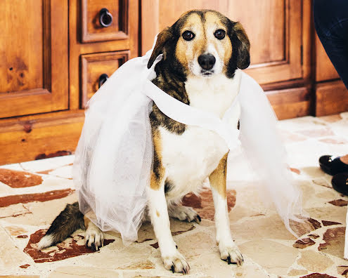 Fotografo di matrimoni Dino Sidoti (dinosidoti). Foto del 7 aprile 2020