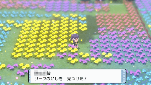 ソノオの花畑で拾う