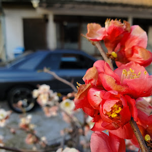 スカイライン GT-R BNR32